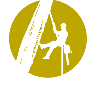 ArboPlan